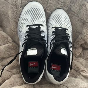 Nike Air Zoom Pegasus 34